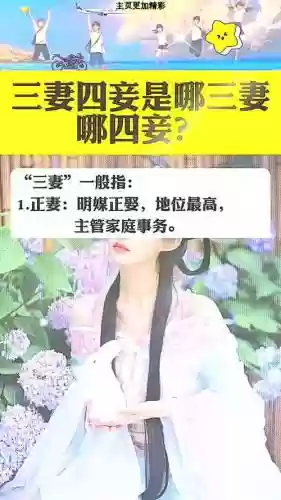 三妻四妾倾城攻略有错，三妻四妾 番外插图1
