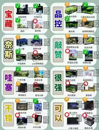 逃离公寓7攻略大全8，逃离公寓1第二关鱼缸插图