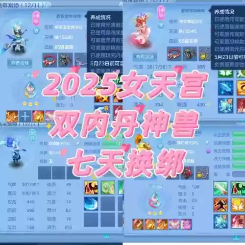 神武天宫搭配阵容装备,神武天宫搭配阵容装备攻略插图 神武天宫搭配阵容装备,神武天宫搭配阵容装备攻略插图