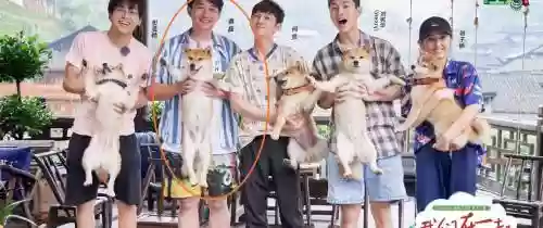 向往4人气阵容搭配，向往四子都跟谁了插图