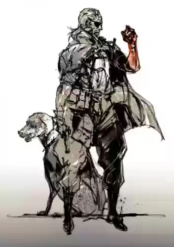 骑士合金装备，合金装备武士插图