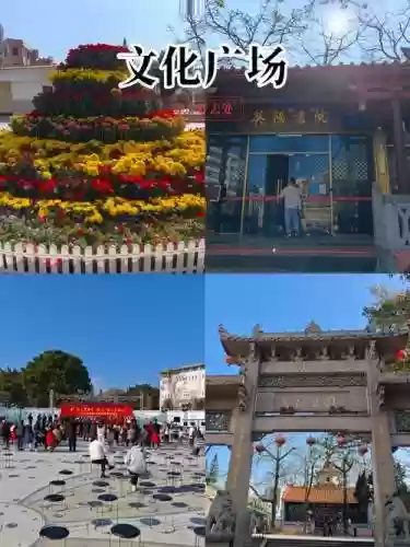 文化广场最强阵容搭配谁，文化广场好玩吗插图1